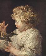 RUBENS, Pieter Pauwel Boy with Bird oil painting artist